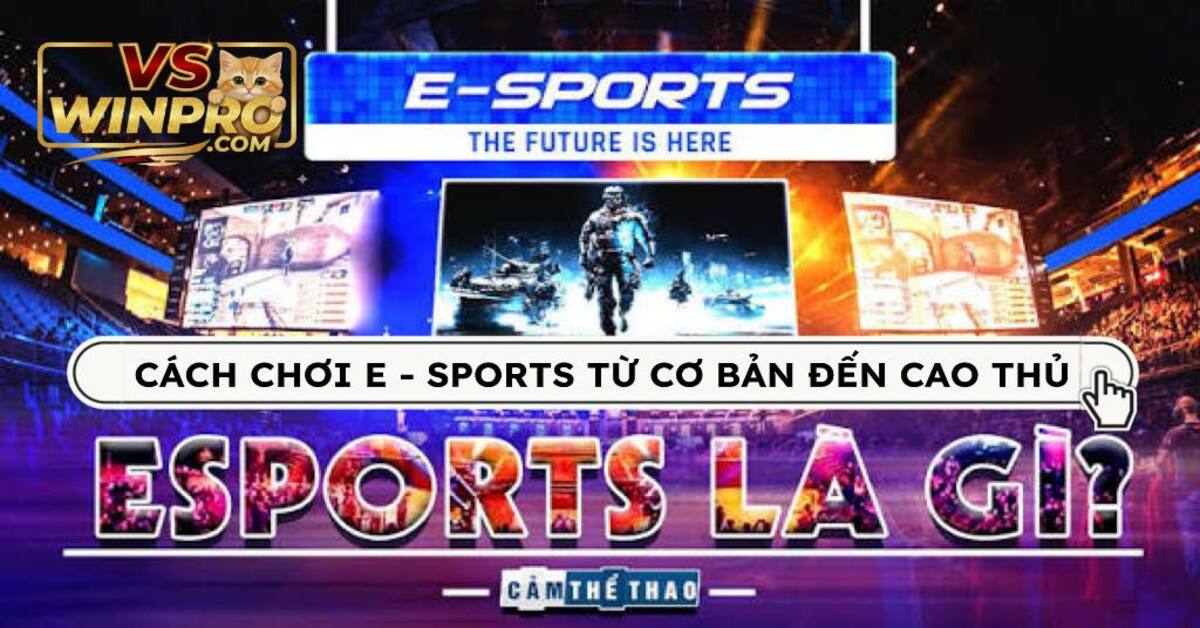E-Sports VSwin 2025